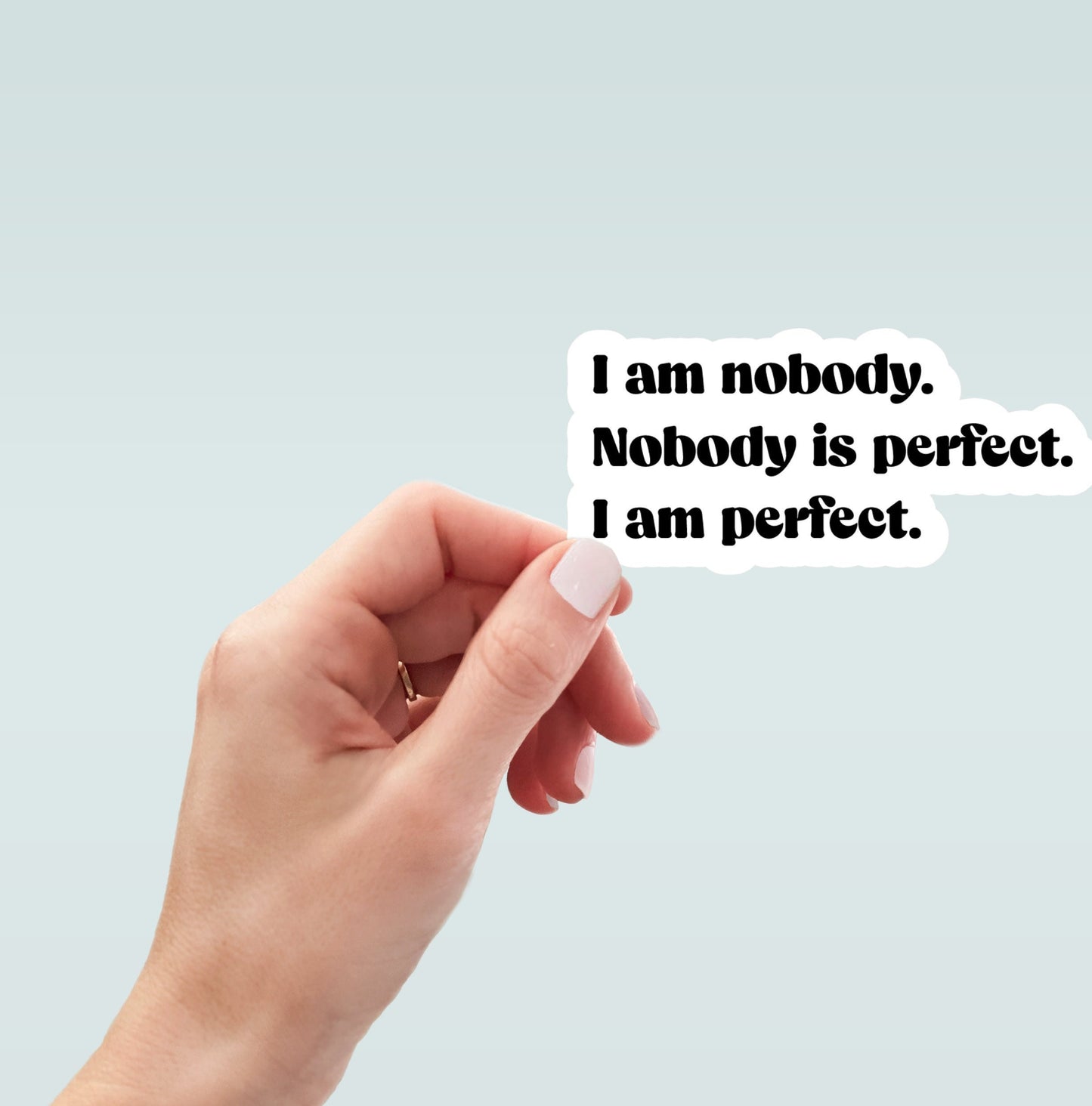 I am nobody, nobody is perfect, I am perfect sticker, laptop sticker, water bottle sticker, decal, funny sticker, planner sticker