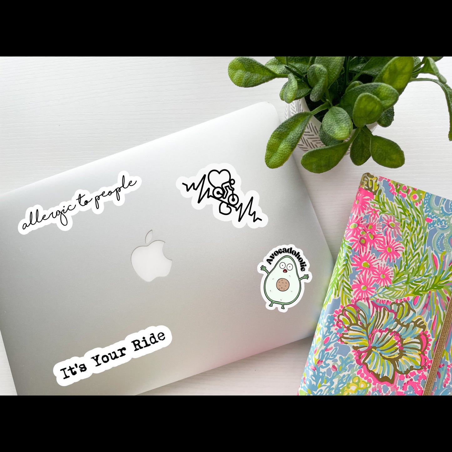 Colorado State Sticker, Colorado Decal, State Laptop Stickers, Waterproof Stickers, Aesthetic State Stickers, Computer Stickers