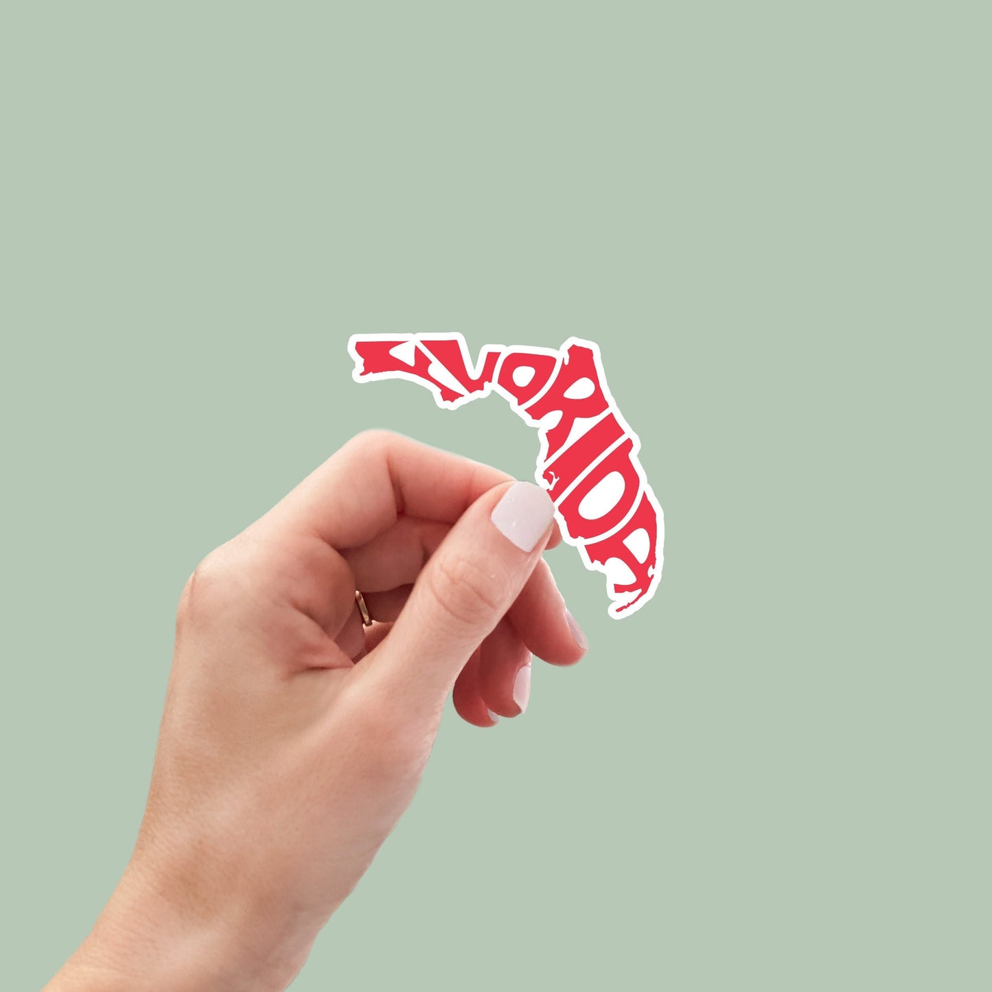 Florida State Sticker, Florida Decal, State Laptop Stickers, Waterproof Stickers, Aesthetic State Stickers, Computer Stickers