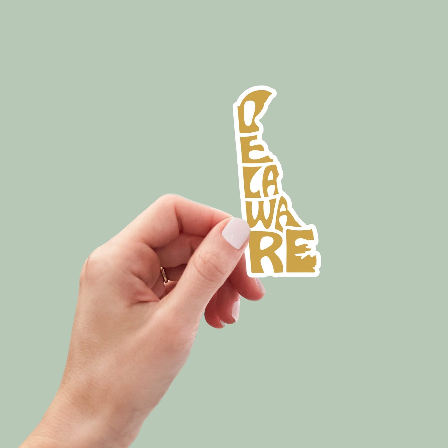 Delaware State Sticker, Delaware Decal, State Laptop Stickers, Waterproof Stickers, Aesthetic State Stickers, Computer Stickers