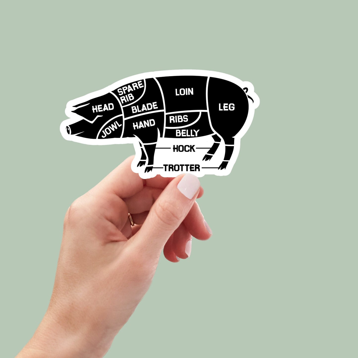 pork cuts sticker, laptop stickers, water bottle stickers, pig stickers, farm stickers, funny stickers, sarcastic