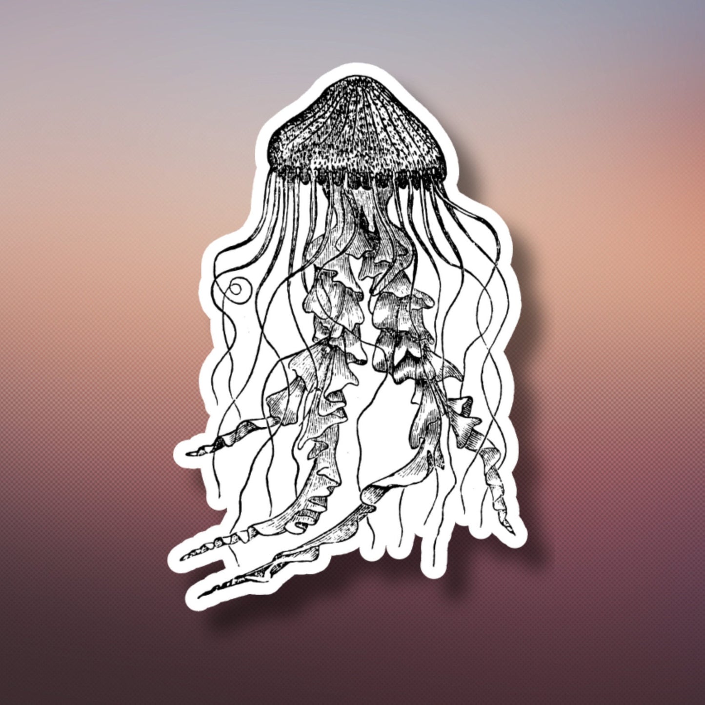 jellyfish pencil drawing sticker, aesthetic stickers, sea life stickers, water bottle sticker, laptop sticker, funny sticker, vinyl stickers