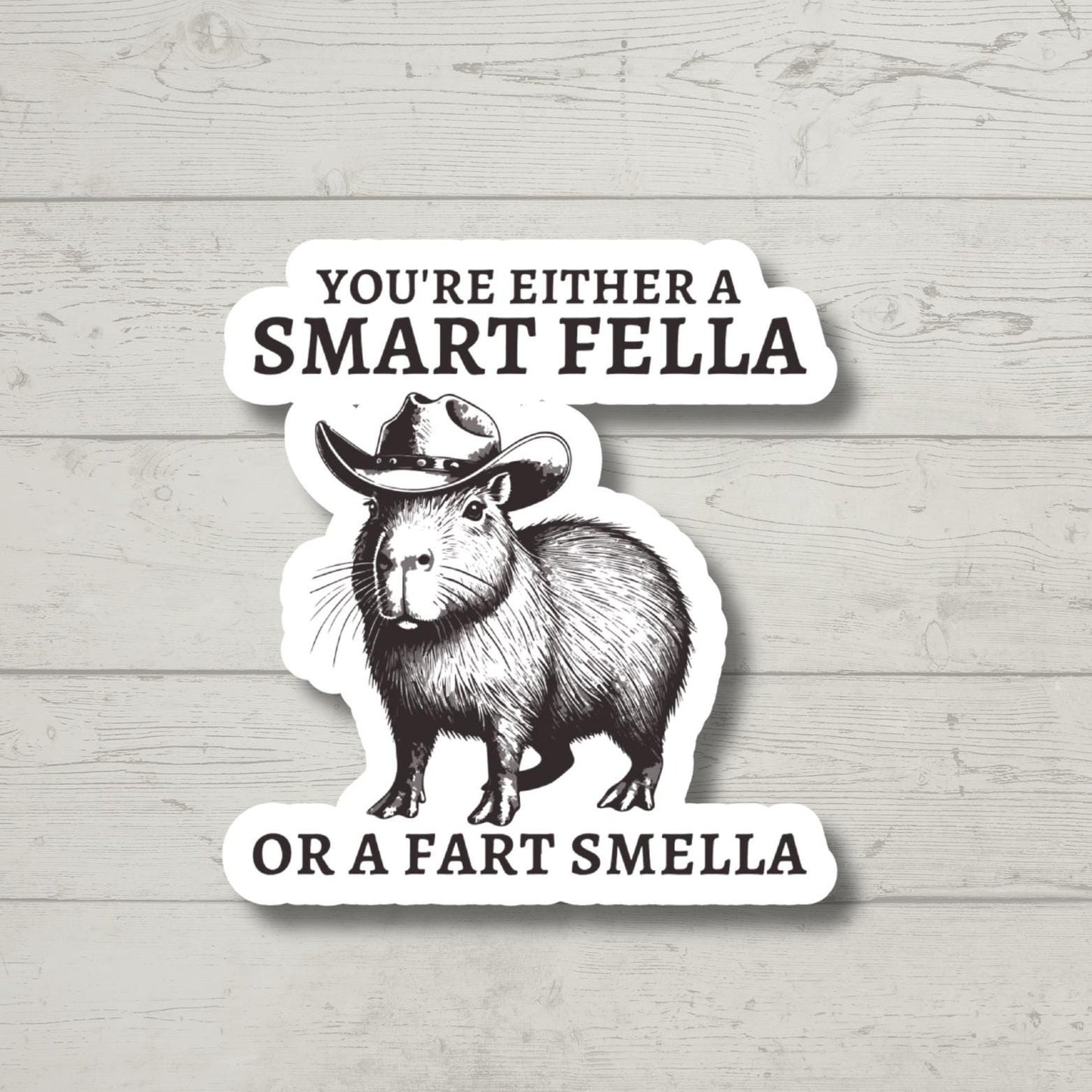 Smart Fella, capybara sticker, Water Bottle Sticker, capybara Decal, Laptop Sticker, Funny Stickers, kindle stickers