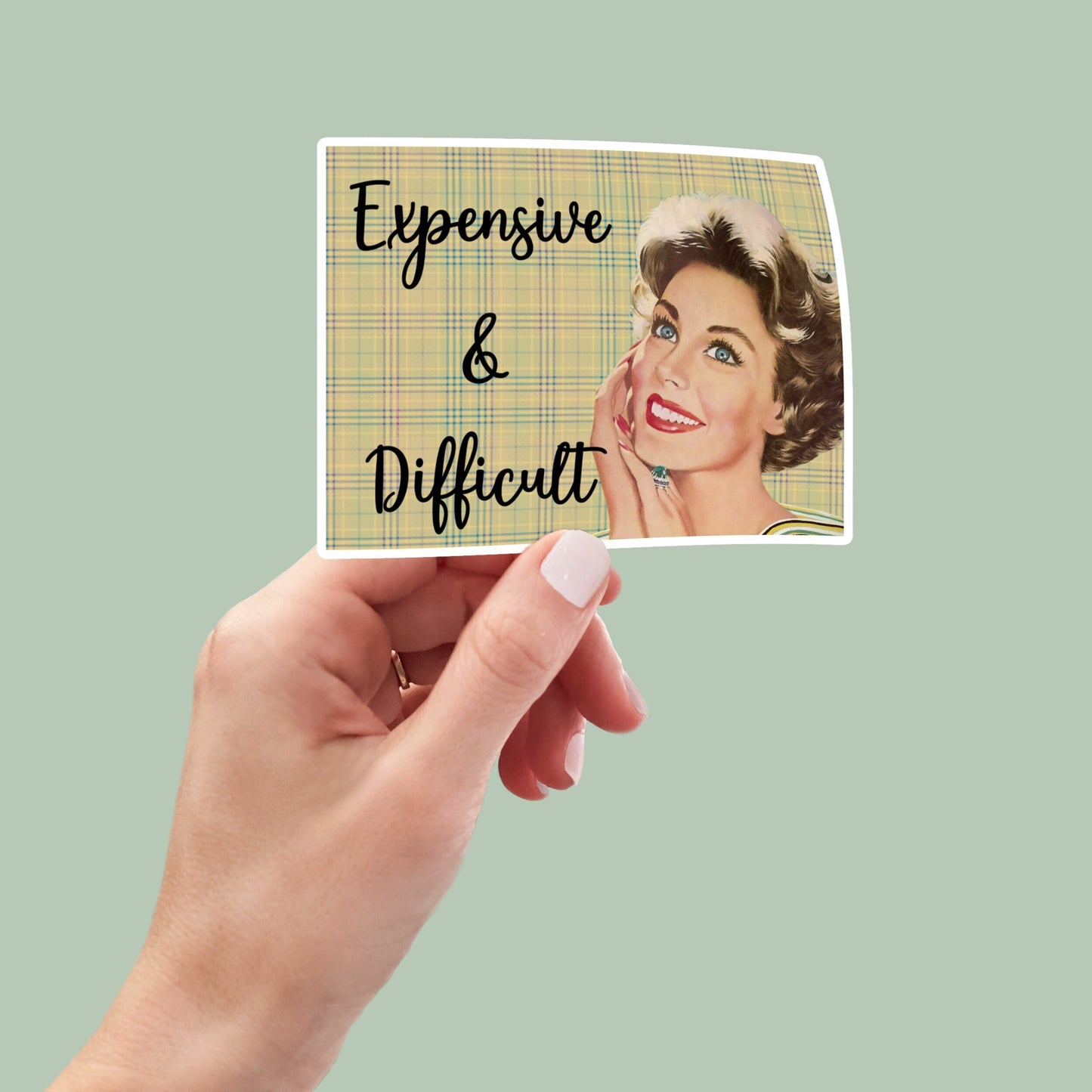 Retro Expensive and Difficult vinyl sticker, laptop stickers, funny stickers, best friend gift, sarcastic gift, funny gift