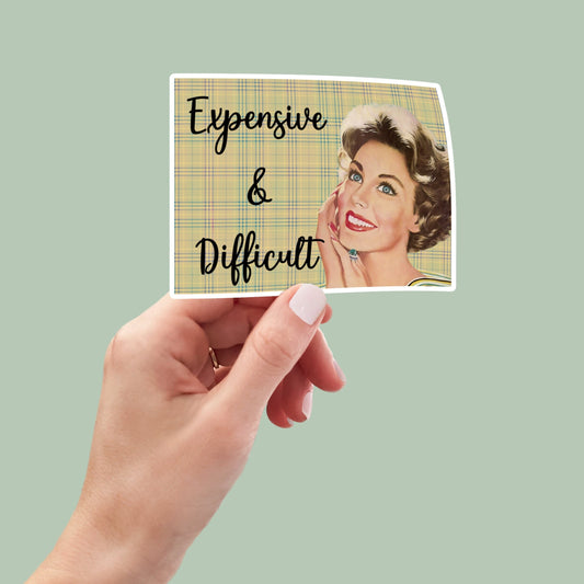 Retro Expensive and Difficult vinyl sticker, laptop stickers, funny stickers, best friend gift, sarcastic gift, funny gift
