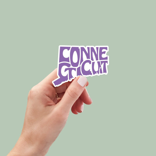 Connecticut State Sticker, Connecticut Decal, State Laptop Stickers, Waterproof Stickers, Aesthetic State Stickers, Computer Stickers
