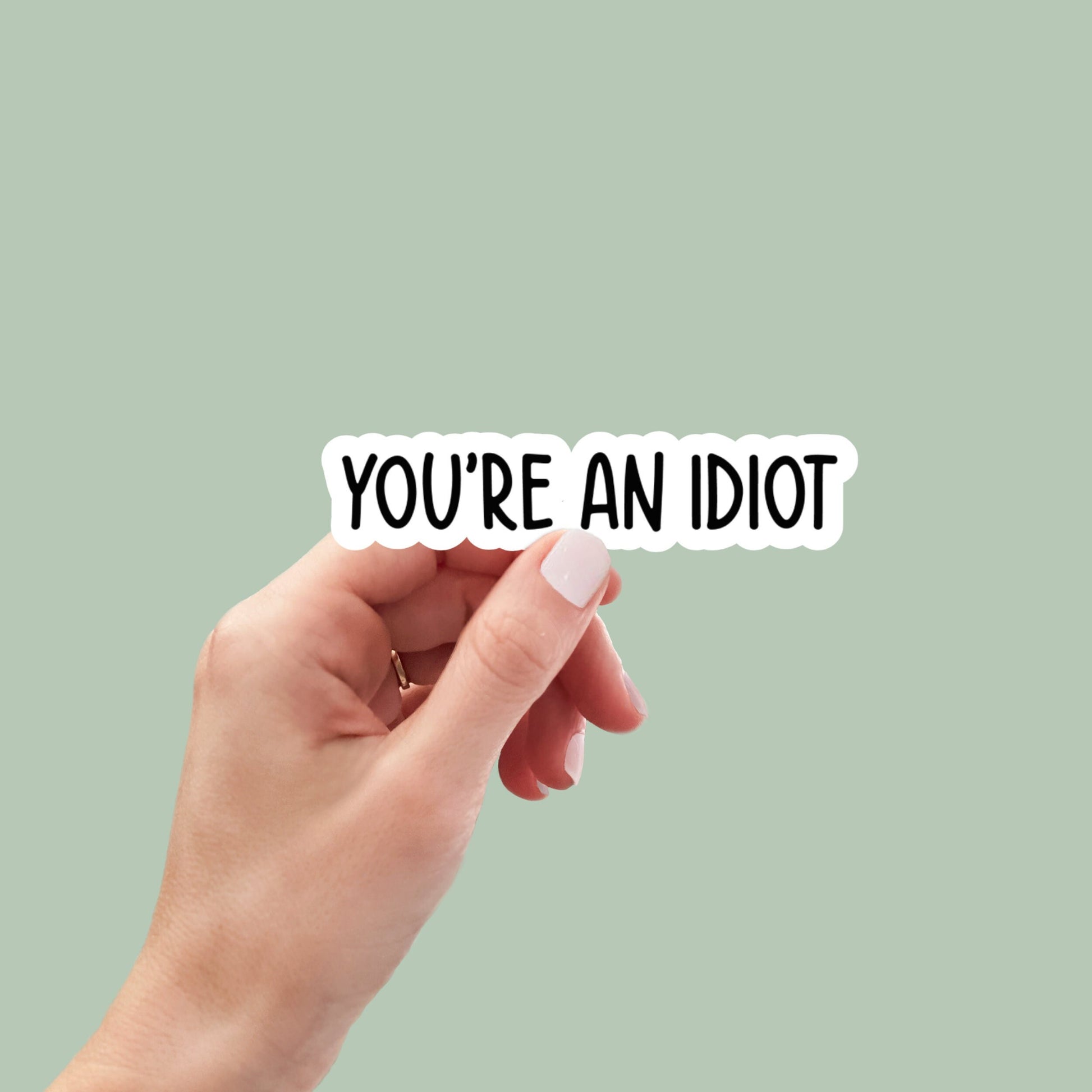 You're an Idiot vinyl sticker, laptop stickers, funny stickers, best friend gift, sarcastic sticker, funny gift, snarky sticker, car sticker