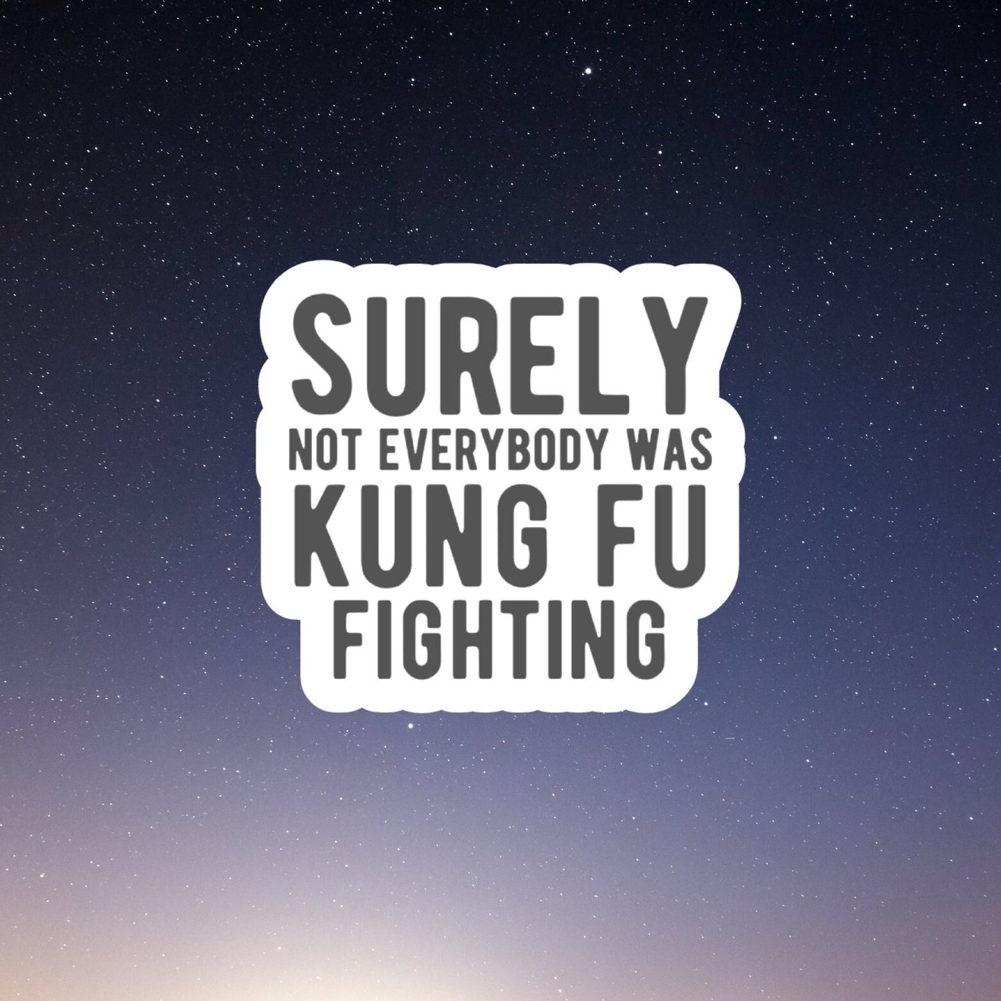 surely not everyone was kung fu fighting funny sticker, laptop stickers, funny stickers, best friend gift, sarcastic sticker, snarky sticker