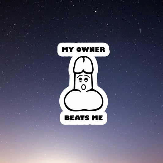 my owner beats me, laptop sticker, laptop stickers, funny stickers, sarcastic stickers, snarky stickers, cute stickers, kindle stickers