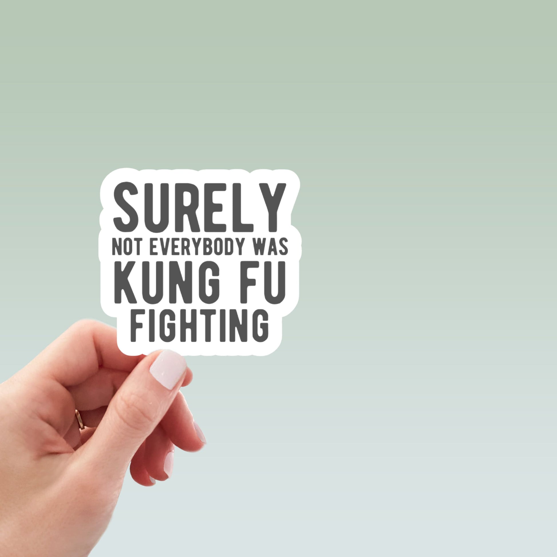 surely not everyone was kung fu fighting funny sticker, laptop stickers, funny stickers, best friend gift, sarcastic sticker, snarky sticker