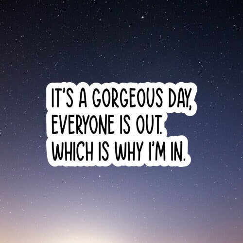 gorgeous day everyone out i'm in , funny sticker, laptop decals, tumbler stickers, water bottle sticker, water bottle decal, car stickers