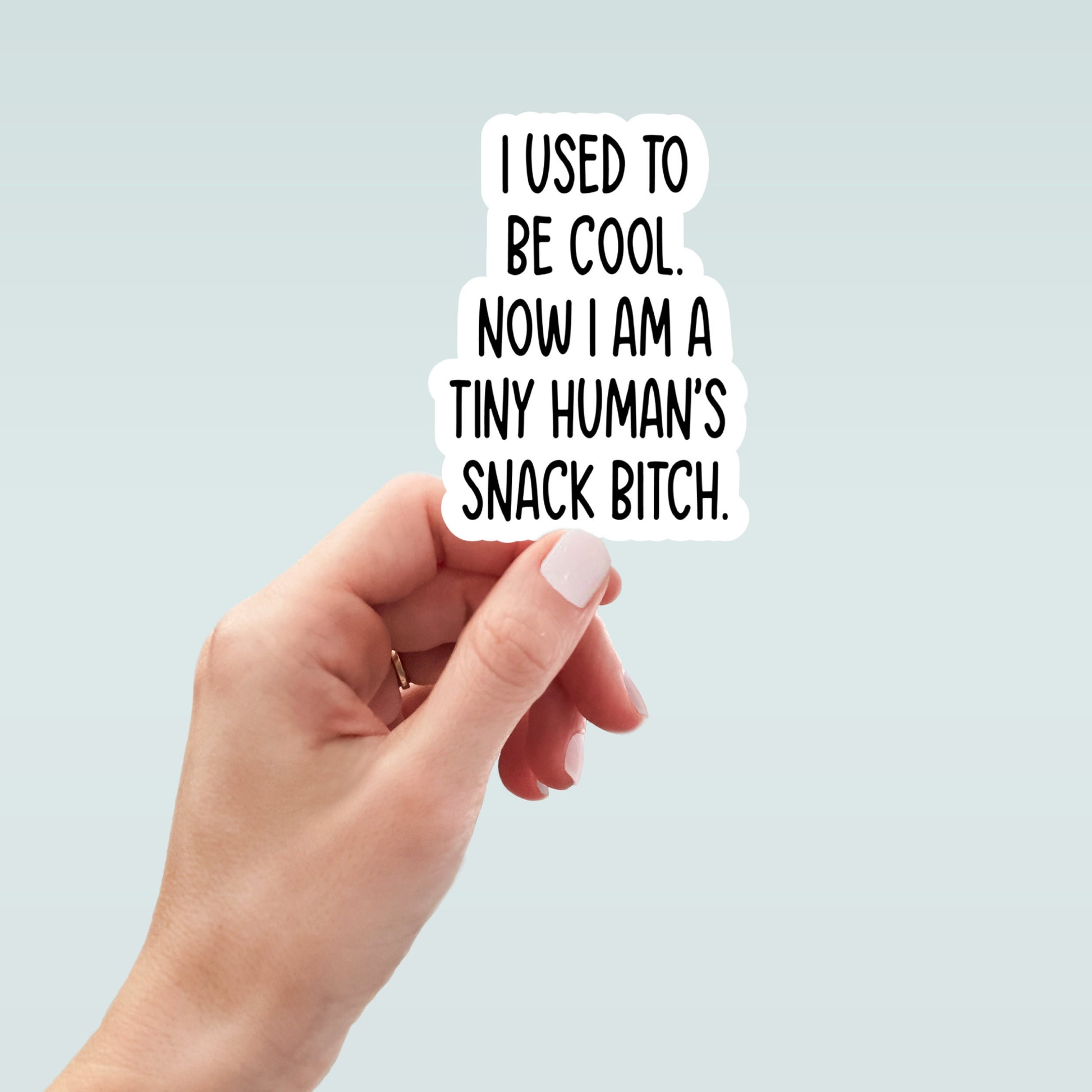 snack bitch funny sticker, waterproof vinyl sticker, laptop stickers, funny stickers, snarky sticker, sarcastic gift, kindle stickers