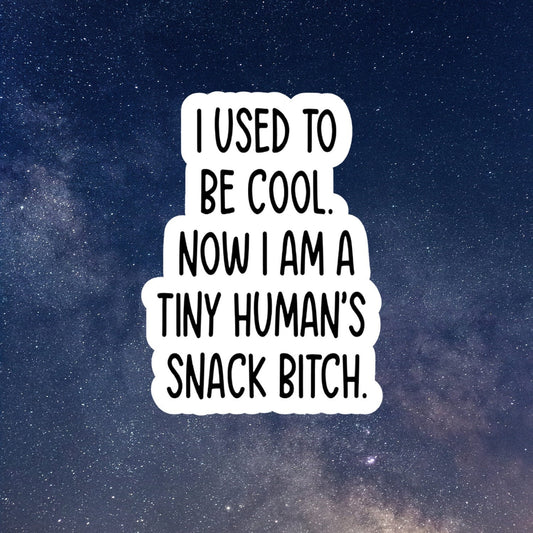 snack bitch funny sticker, waterproof vinyl sticker, laptop stickers, funny stickers, snarky sticker, sarcastic gift, kindle stickers