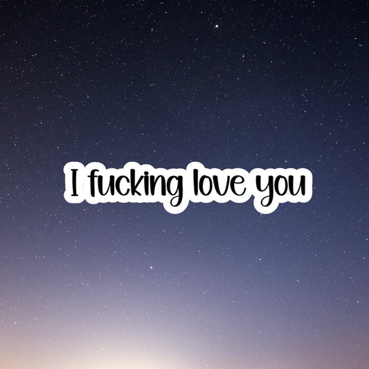 I Fucking Love You sticker, funny stickers, laptop stickers, water bottle stickers, planner stickers, decals, car stickers
