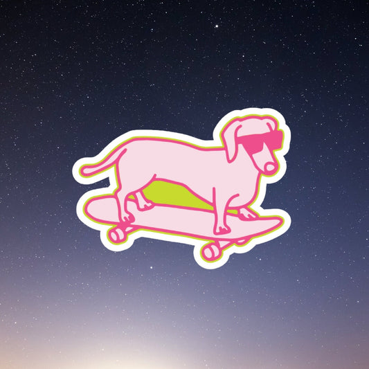 cute pink wiener dog on a skateboard wearing sunglasses