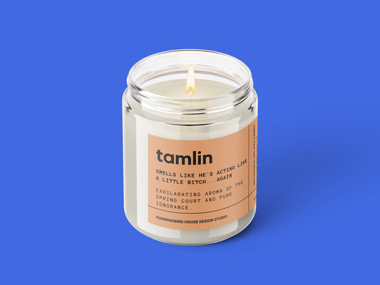 Tamlin inspired candle, Sarah J Maas A Court of Mist and Fire, bookish candle, ACOTAR fan gift, acomaf, Acotar Merch, Book Lover Candle