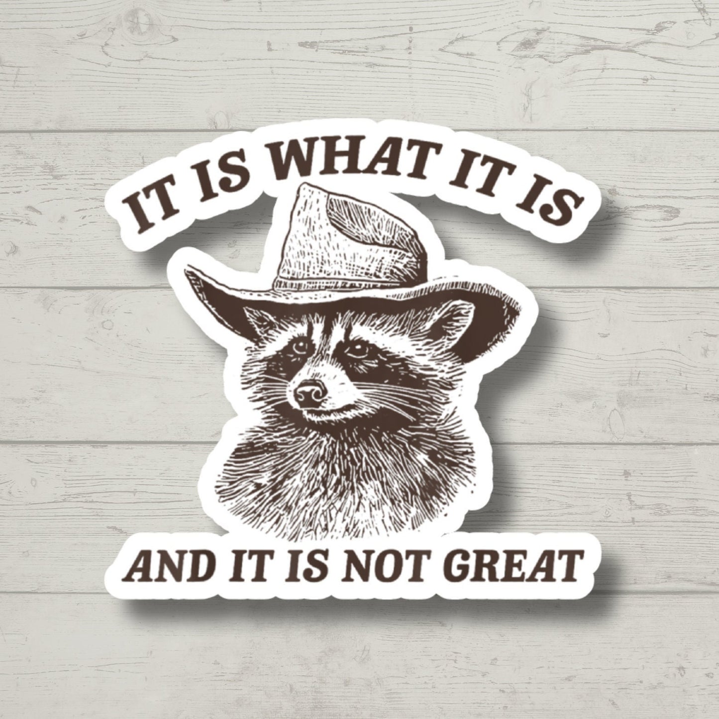 It Is What it Is Sticker, Funny Raccoon, Sticker for Laptop, water bottle sticker, kindle stickers, sarcastic sticker, funny stickers