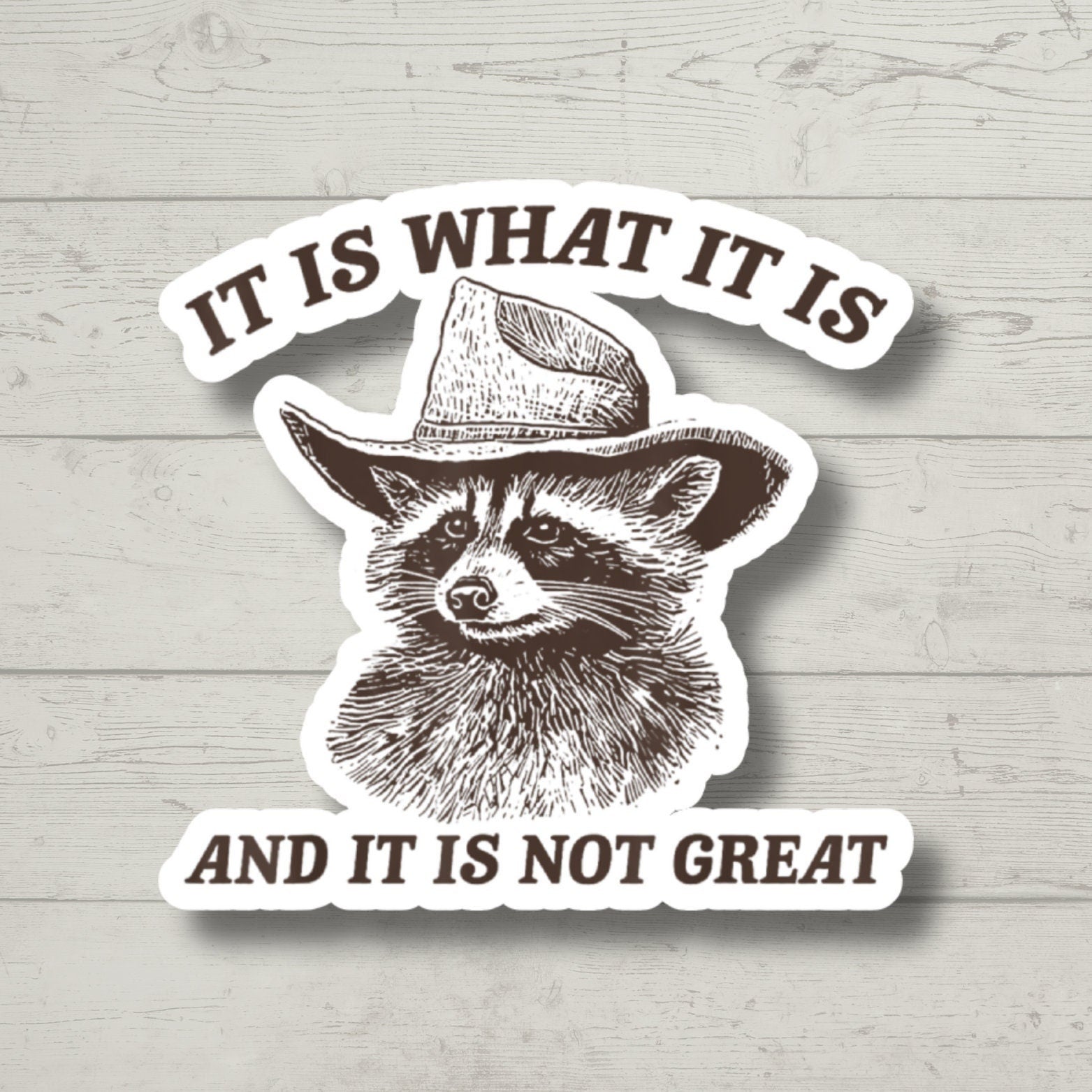 It Is What it Is Sticker, Funny Raccoon, Sticker for Laptop, water bottle sticker, kindle stickers, sarcastic sticker, funny stickers