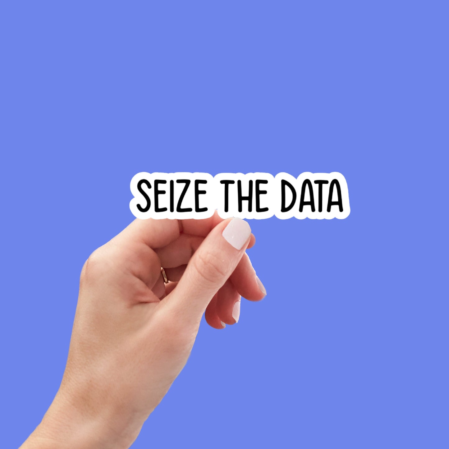 Seize the Data Sticker, math laptop stickers, science water bottle decals, tumbler stickers math stickers, math teacher stickers