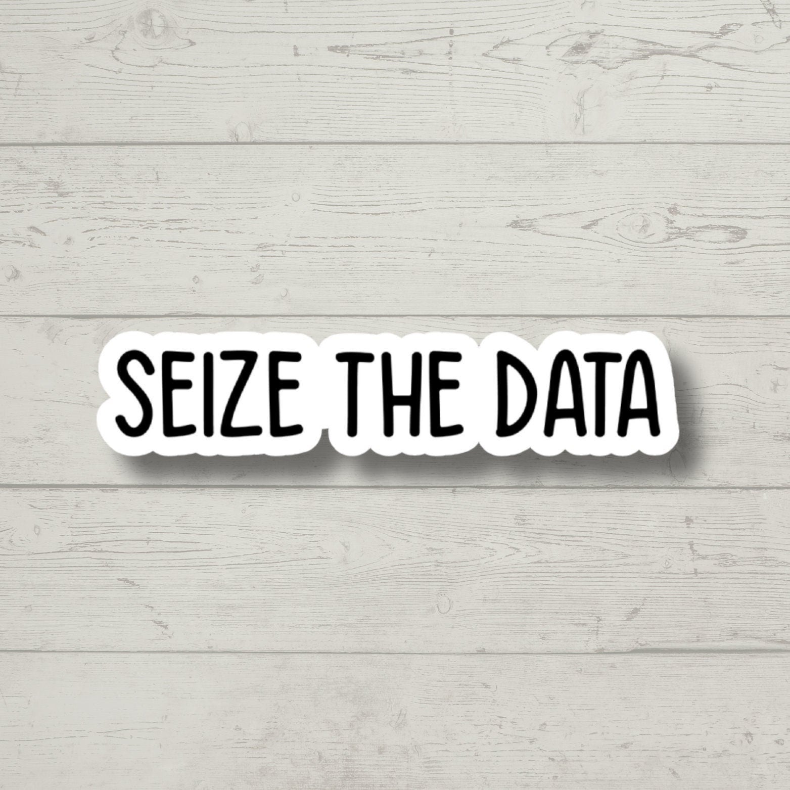 Seize the Data Sticker, math laptop stickers, science water bottle decals, tumbler stickers math stickers, math teacher stickers