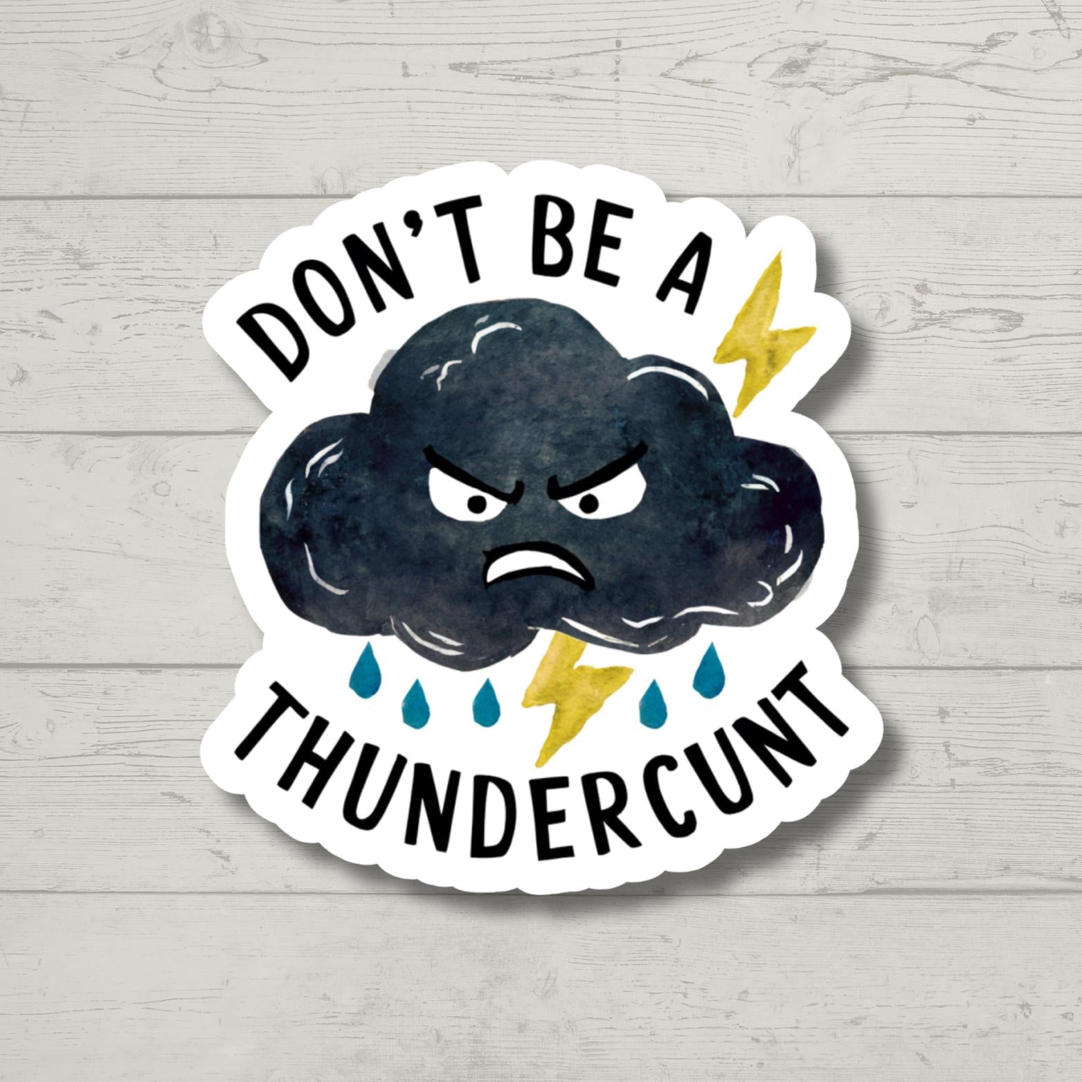 Don't Be a Thunderc**nt, Funny Sticker for Laptop, water bottle sticker, sarcastic sticker, waterproof stickers