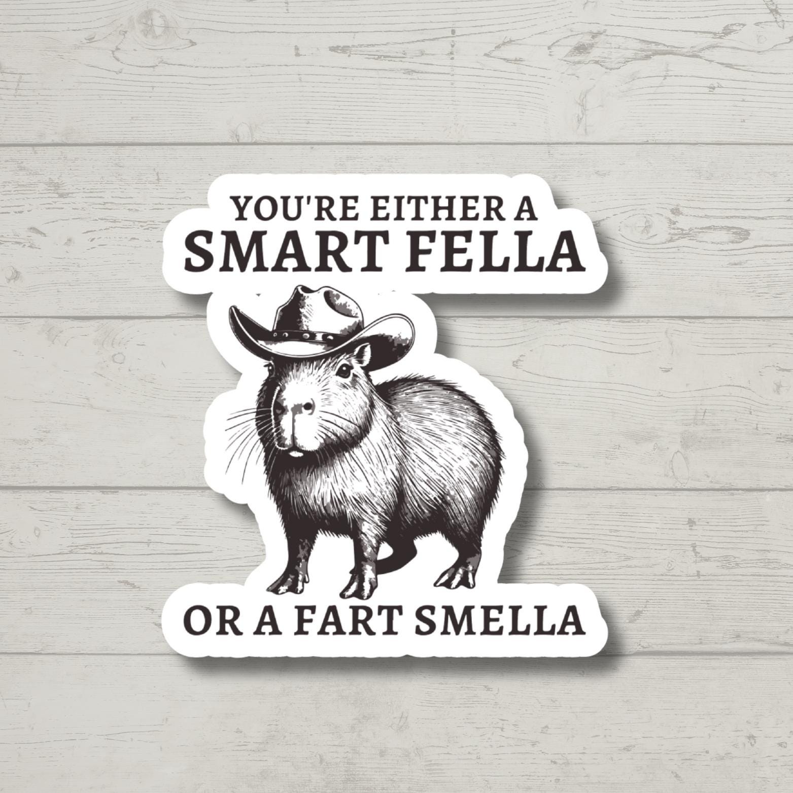 Smart Fella, capybara sticker, Water Bottle Sticker, capybara Decal, Laptop Sticker, Funny Stickers, kindle stickers