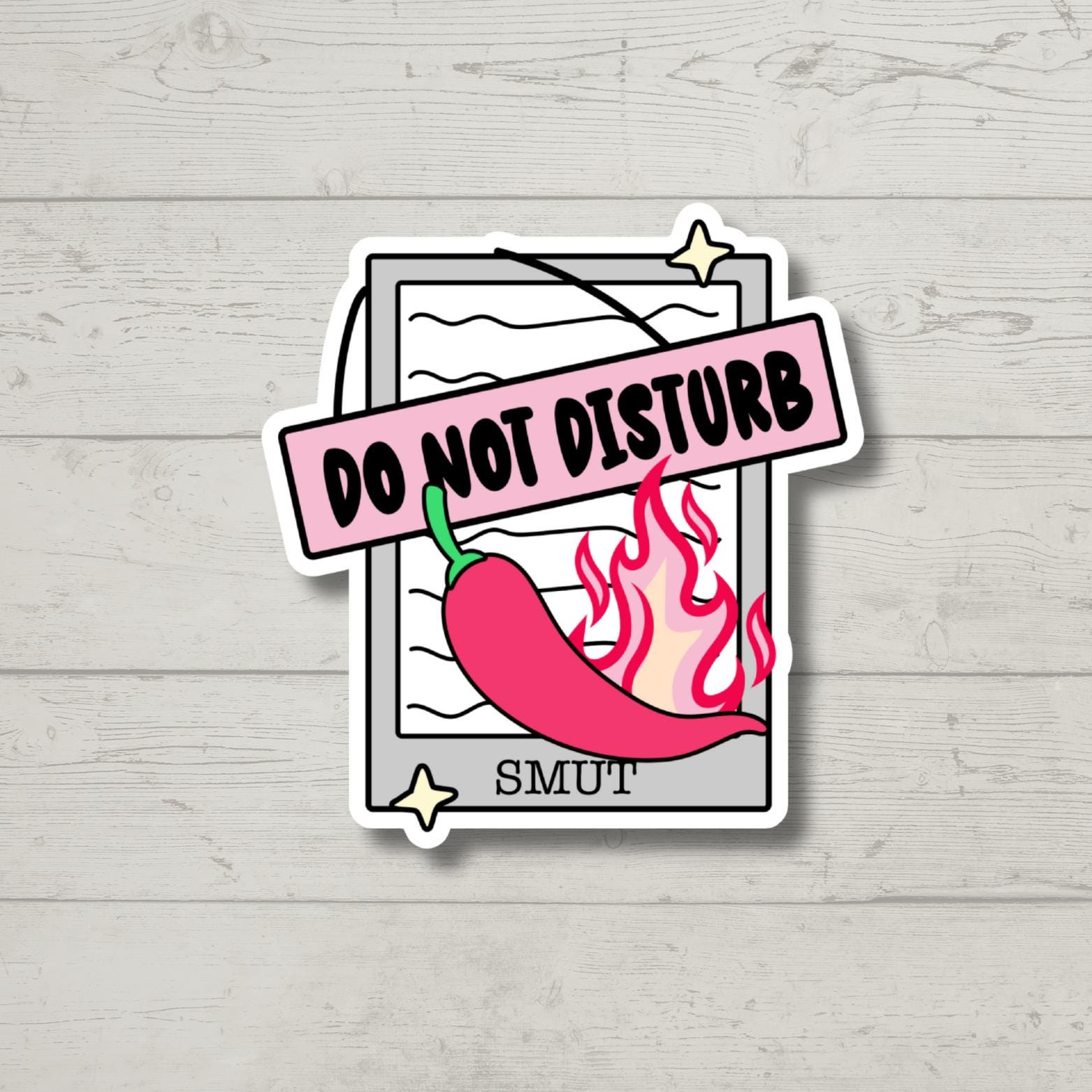 Do Not Disturb Smut Sticker | Funny Sarcastic Sticker for Laptop, Kindle, Dark Romance Gift, Bookish Vinyl Decal