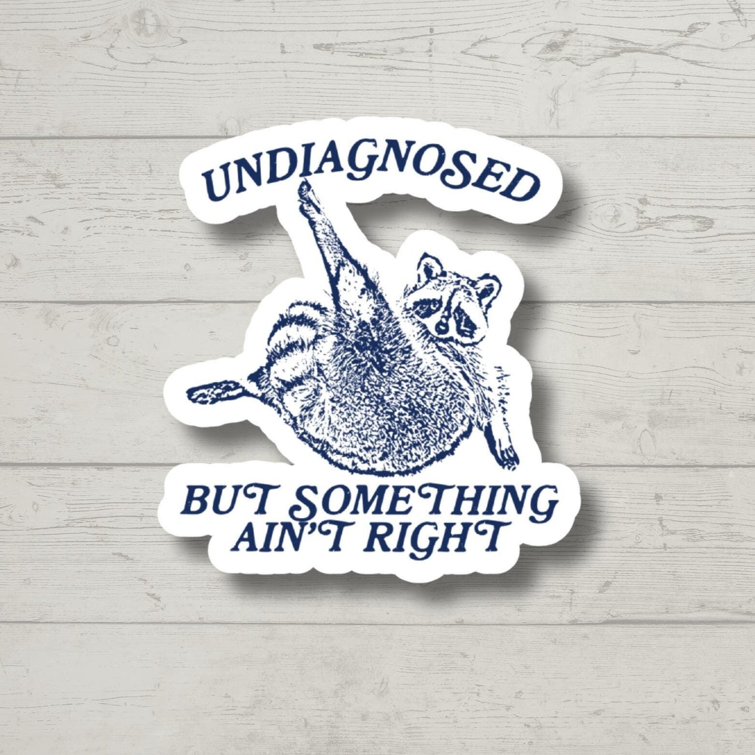 Undiagnosed But Something Ain't Right, Funny Raccoon, Sticker for Laptop, water bottle, kindle stickers, sarcastic sticker, funny stickers