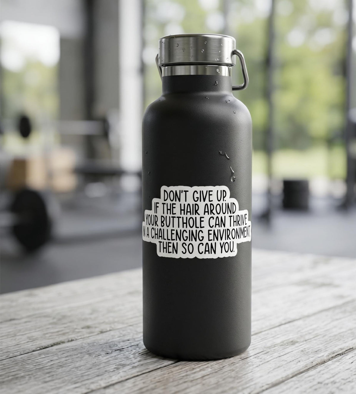 Don't Give Up, Funny Stickers, Sarcasm Stickers, Sarcastic Stickers, Funny Laptop Sticker, Funny Decals, Water Bottle Stickers