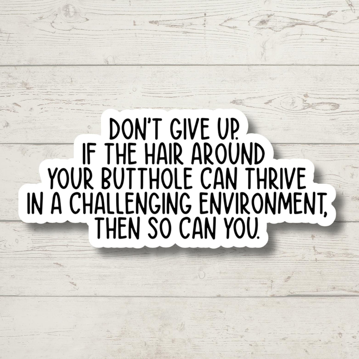 Don't Give Up, Funny Stickers, Sarcasm Stickers, Sarcastic Stickers, Funny Laptop Sticker, Funny Decals, Water Bottle Stickers